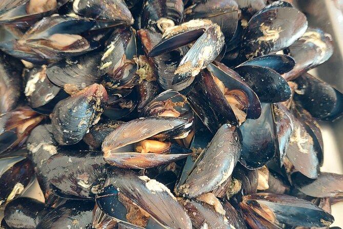 Kayaking and mussels tasting at Krka River estuary-private tours - What the guide adds to the experience