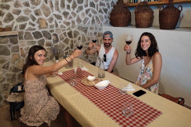 Krka National Park Tour with tour Guide & Wine tasting from Split & Trogir - What the wine tasting is really like