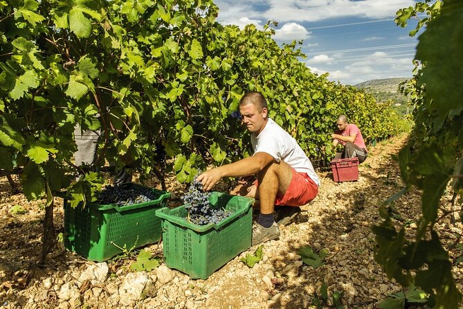 Krka Waterfalls & Dalmatian delights from Split or Trogir - Rak Winery and the Dalmatian table