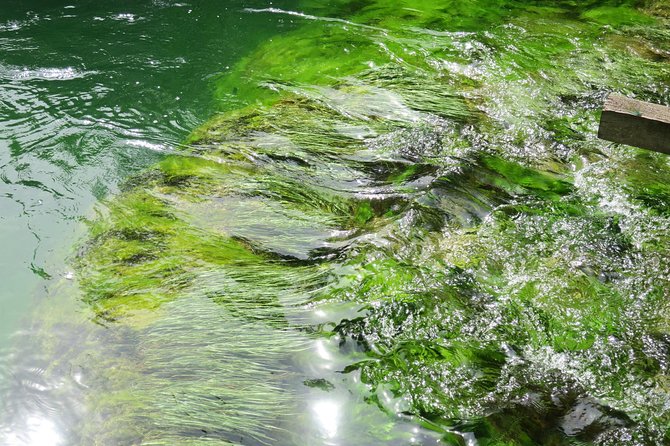Krka waterfalls luxury tour for singles or couples - Who will enjoy this private Krka outing most