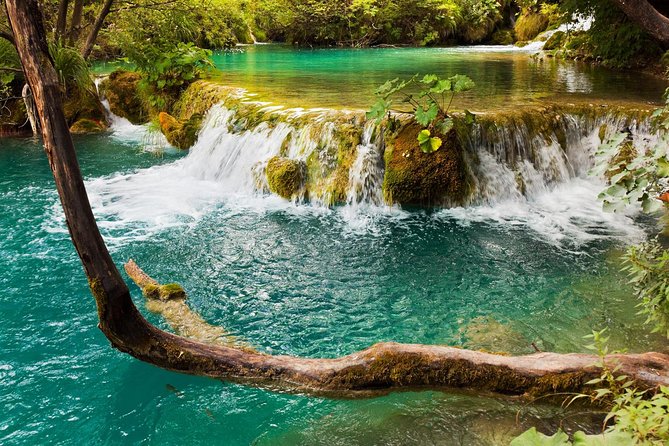 Krka Waterfalls & Primošten from Trogir, Seget, Čiovo & Kaštela - Who should book this day out