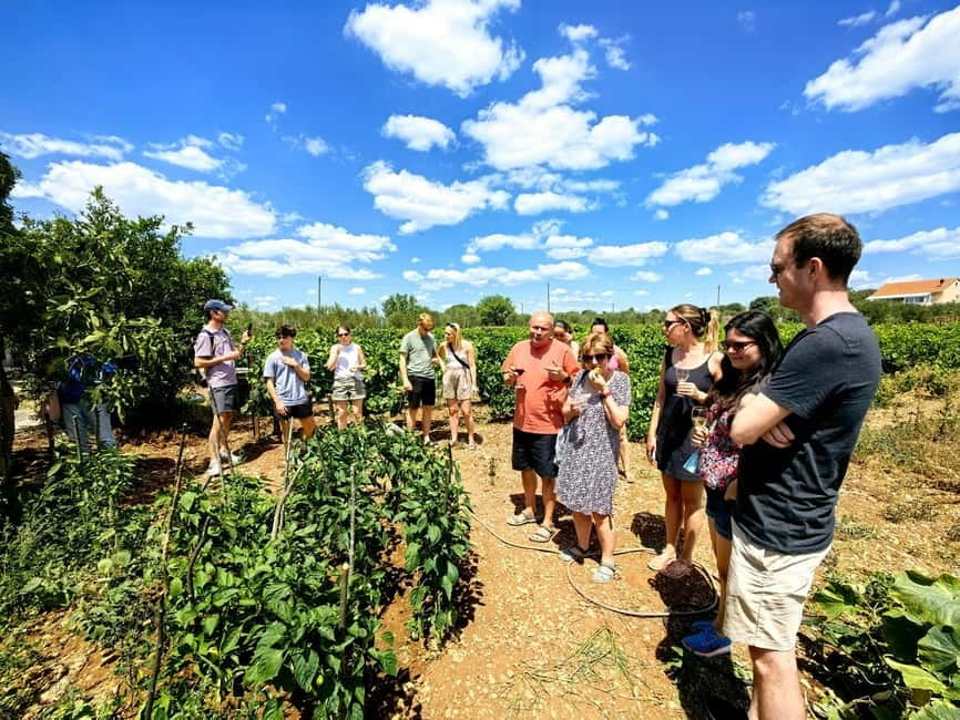 Krka waterfalls tour with lunch from Split - Who will get the most from this tour