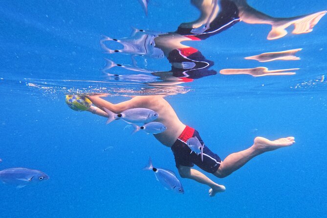 Makarska: 3-Island Speedboat Tour with Cave and Blue Lagoon - Mala Stiniva, Hvar’s cliff-jumping stop