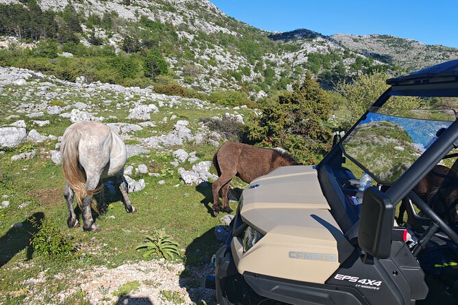 Makarska: Baggy Skywalk & Biokovo viewpoint Tour - Croatia’s first Skywalk at 1,228 meters