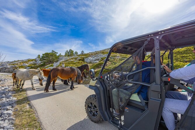 Makarska: Baggy Skywalk & Biokovo viewpoint Tour - The 850-meter viewpoint and the first island views