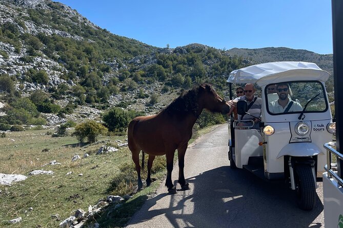 Makarska: Skywalk Tour with a Tuk Tuk - Skip the line ticket - What the ride back is really like