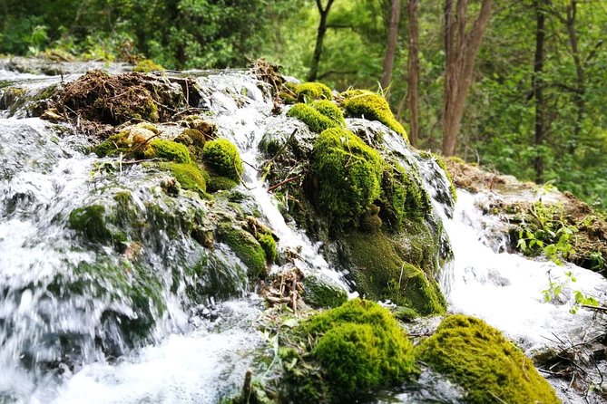 NP Krka waterfalls & Wine tasting - Private day tour from Split - Walking through Krka National Park