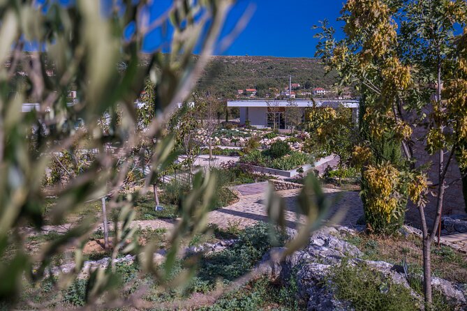 Olive museum Klis with educational olive oil tasting - The people who shape the experience