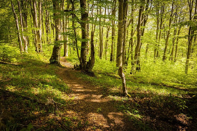 Plitvice Lakes Tour from Split with Entrance Ticket included - Four hours among 16 lakes and waterfalls