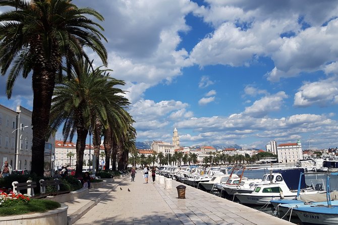 Private Full-day Dubrovnik and Ston Tour from Split - A private van makes the long day easier