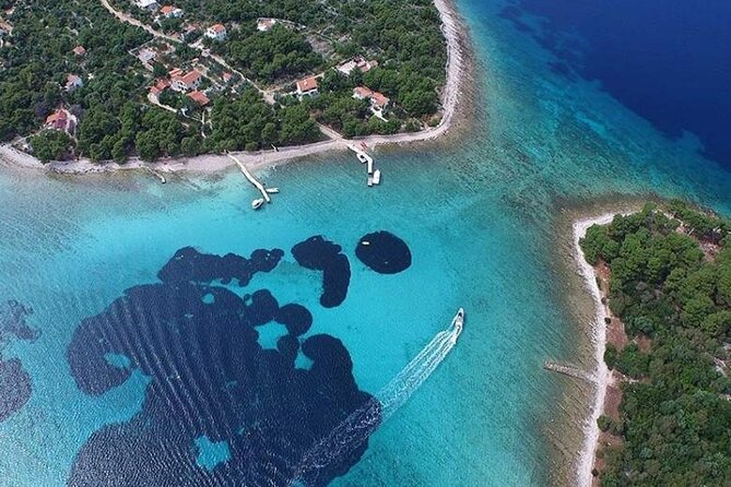 Private Half day Blue Lagoon Tour - Who will enjoy this tour most