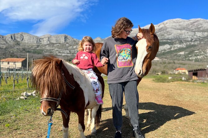 Private Horseback Riding and Family Time in Konavle Region - Timing your visit around the weather
