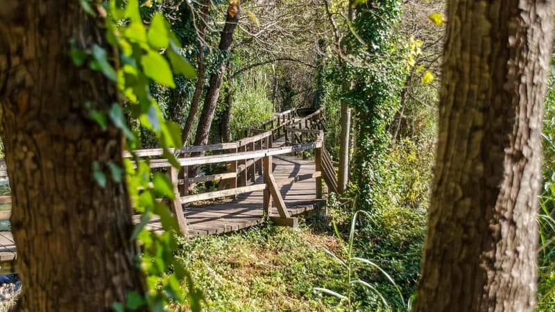 Private Krka National Park & Klis Fortress from Split - Walking the wooden paths at Skradinski Buk