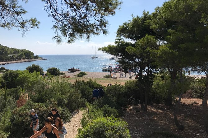Private speedboat tour to Blue cave, Vis and Hvar - Budikovac is the main swimming break