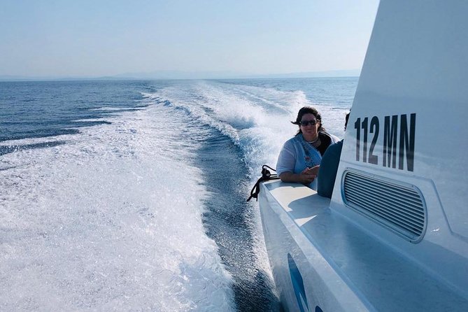 Private Water taxi from Split to Brac island - Arriving Near Your Brac Accommodation