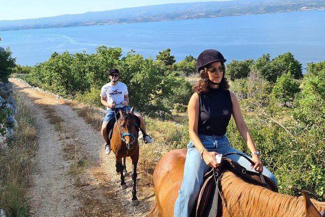 Ranch 22 Podstrana, " Horse riding 12 km from SPLIT " - Key points at a glance