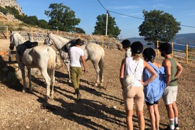 Ranch 22 Podstrana, ” Horse riding 12 km from SPLIT “