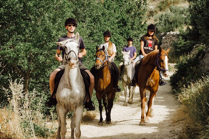 Ranch 22 Podstrana, " Horse riding 12 km from SPLIT " - The ranch finish: bread, cheese, meat, and wine