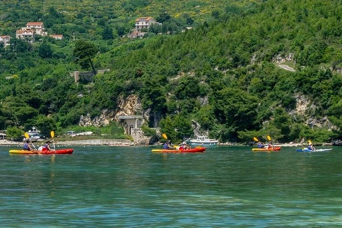 River Challenge Island Tour - Who will enjoy this half-day outing most