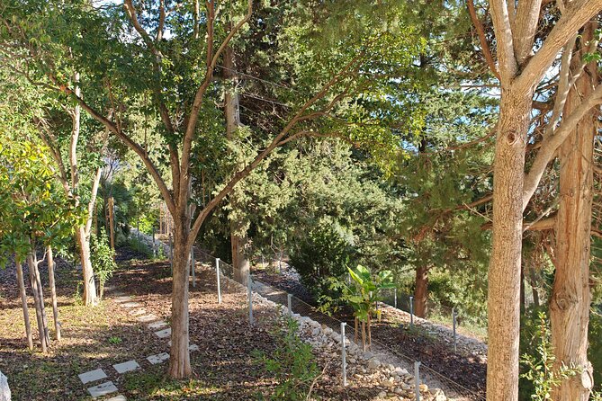 Secret Marjan Park Hiking Tour in Split - Who will enjoy this walk most