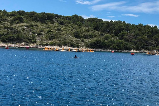 Secrets of Brac and Solta - Off the Beaten Track Croatia - Stomorska from 1:30 to 3:30 p.m.: the long lunch stop