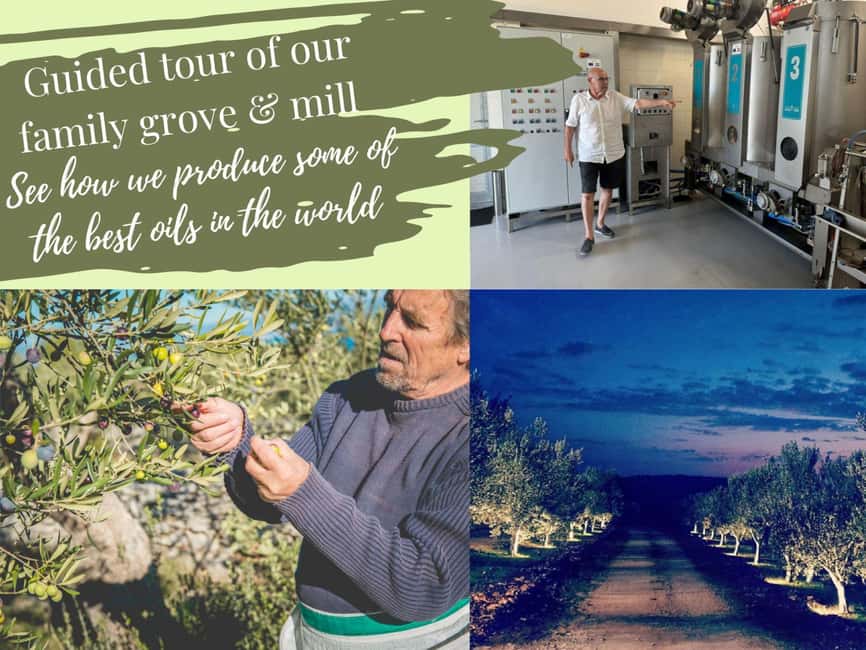 Sibenik: Stunning views, History & Tasting - Croatia in day - Entering the family olive grove in Lepuri