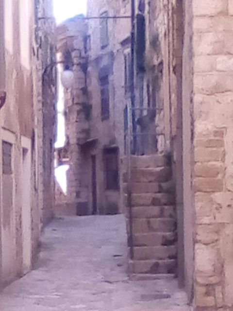 Šibenik walking tour in one hour! - Who should book this Šibenik walk?