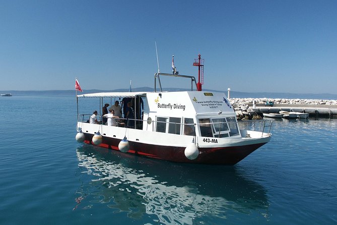 Snorkeling tour Makarska Riviera, islands of Hvar or Brač - What you see beneath the surface