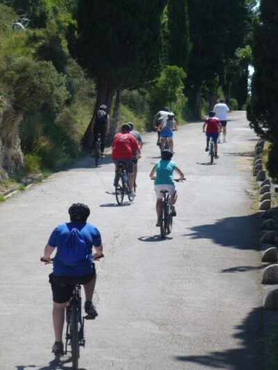 Split 3-Hour Guided Bike Tour
