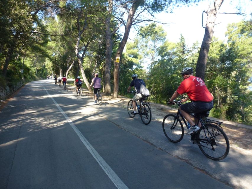 Split 3-Hour Guided Bike Tour - Should you book the Split bike tour?