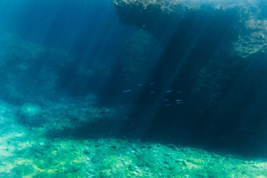 Split: 45-minute Semi-Submersible Submarine Trip - Booking flexibility and practical limits