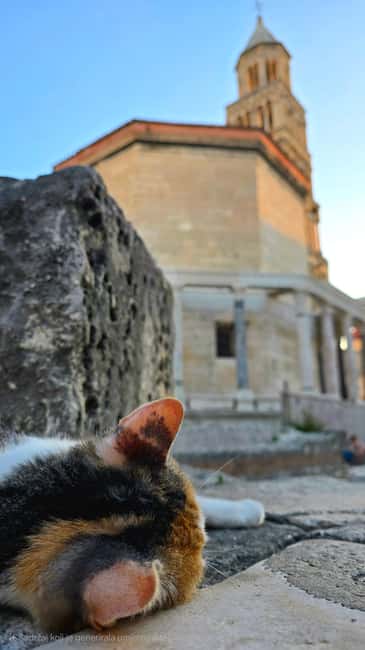 Split and Diocletian's Palace walking tour with a local guid - Why Diocletian’s Palace is worth your first 75 minutes
