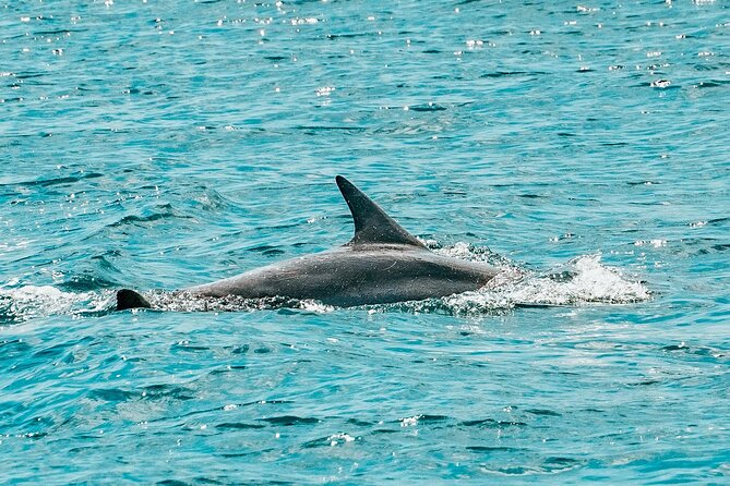 Split: Blue Lagoon & 3 Island Cruise with Wine & Snorkeling - Blue Lagoon is the main swimming hour