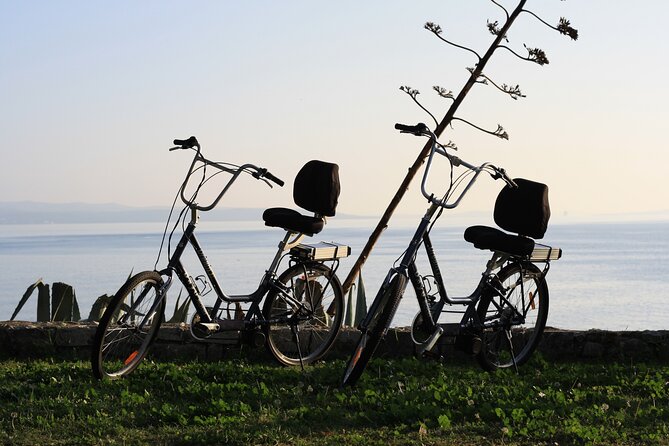 Split Electric Bicycle Tour - Miro’s role makes a real difference