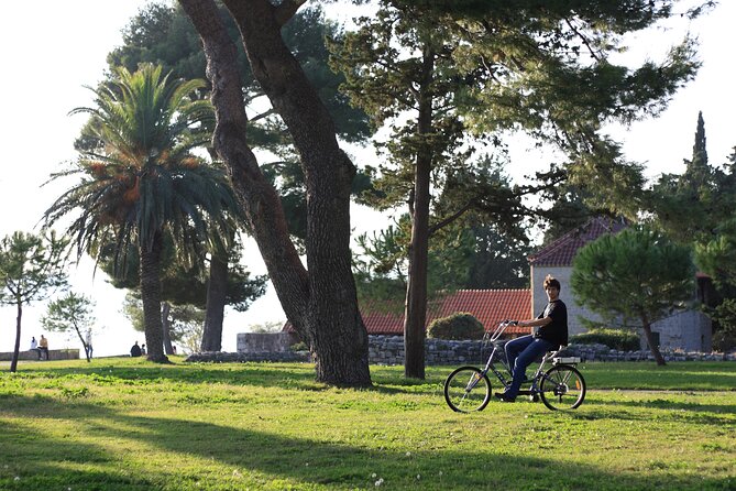 Split Electric Bicycle Tour - Who will enjoy this most