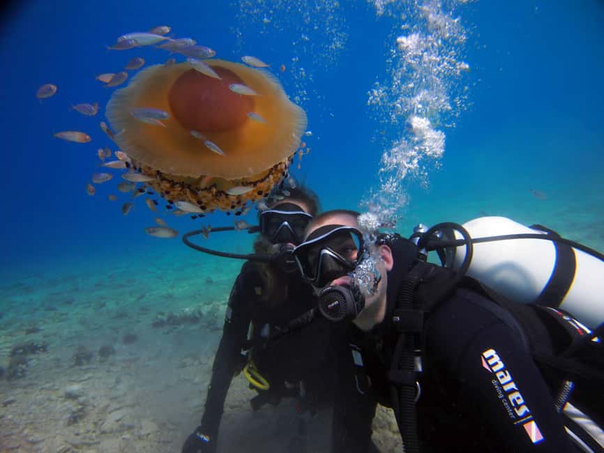 Split-Makarska-Brela Try SCUBA Dive - Key points to know before booking