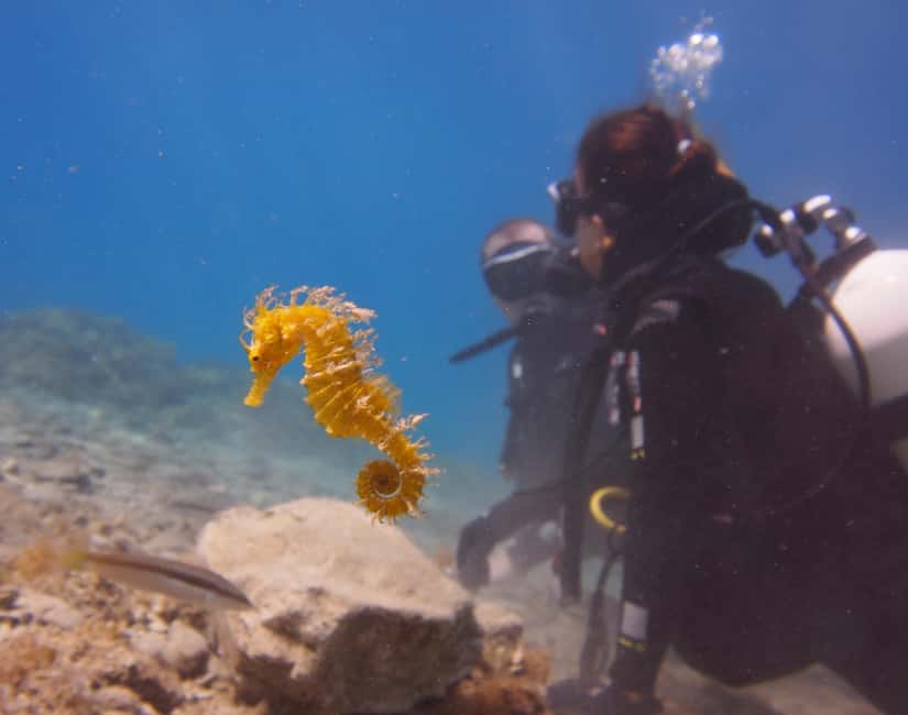Split-Makarska-Brela Try SCUBA Dive - The briefing: where first-time confidence begins