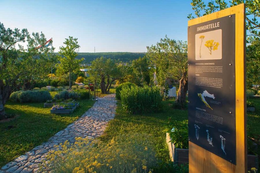 Split: Olive museum Klis with Olive Oil Tasting - Key points at a glance