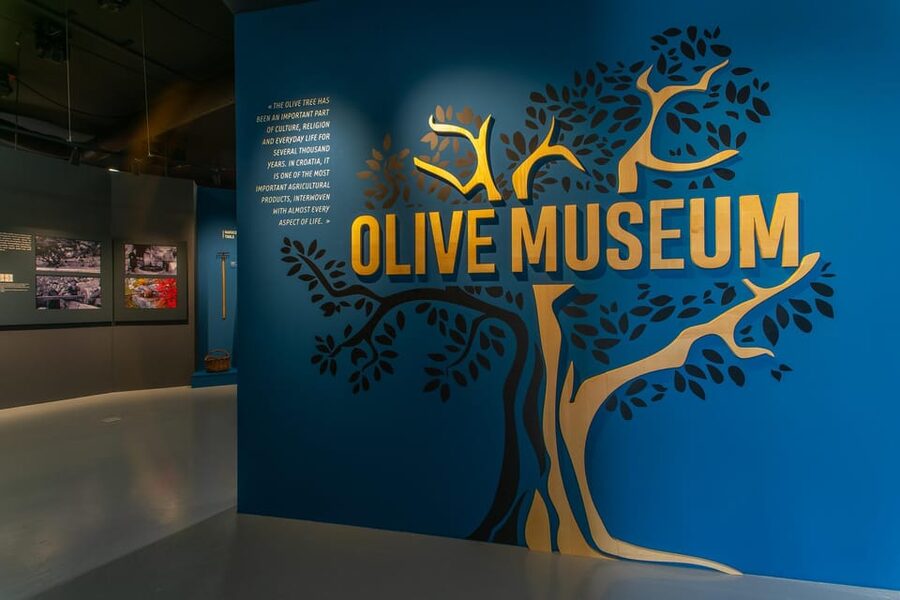 Split: Olive museum Klis with Olive Oil Tasting - Who will enjoy this $18 experience