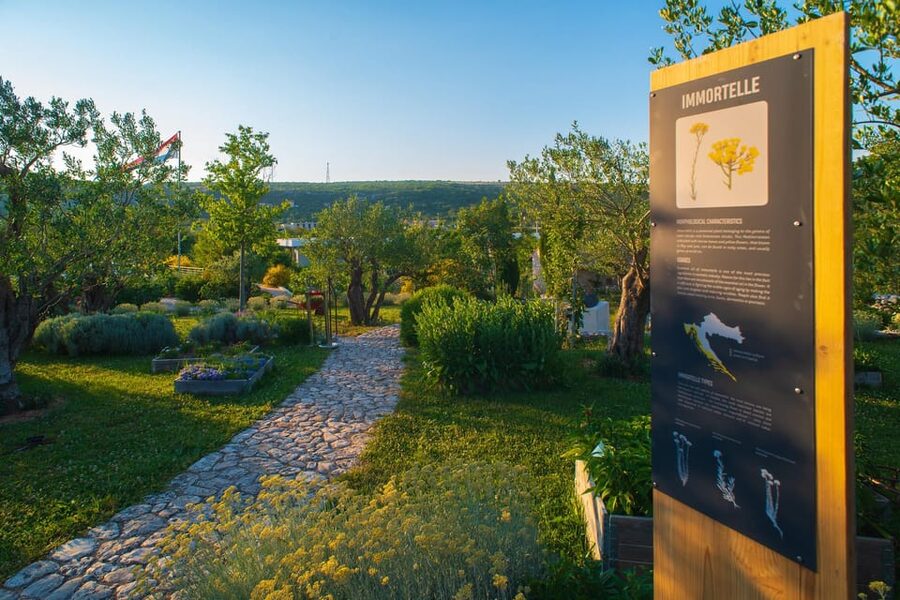 Split: Olive museum Klis with Olive Oil Tasting - Seeing traditional products made by hand