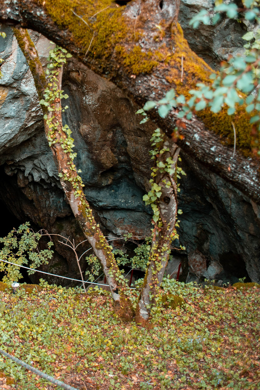Split: Private tour to Klis Fortress and Vranjača cave - Stella Croatica and the taste of Dalmatia