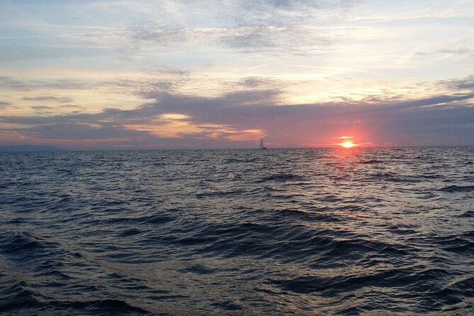 Split: Small-Group Half Day Sailing Trip - Key Points Before You Book
