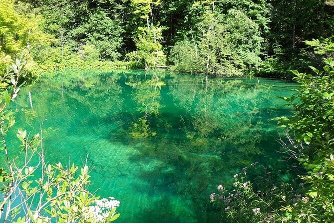 Split to Zagreb or airport Zagreb via Plitvice lakes for singles or couples - Continuing to Zagreb after the park