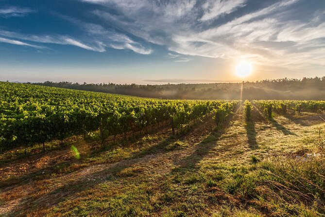Split/Trogir/Kastela: Krka Private Tour - option: Wine Tasting - Returning to Split with gelato at Bačvice