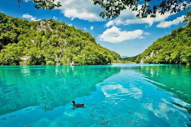 Transfer from Split to Zagreb with Entry Ticket to Plitvice Lakes - The walking conditions at Plitvice