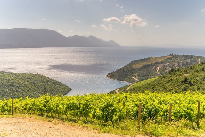 Transfer Split to Dubrovnik with Sightseeing in Ston Town - The Private Transfer: What You Get for the Price