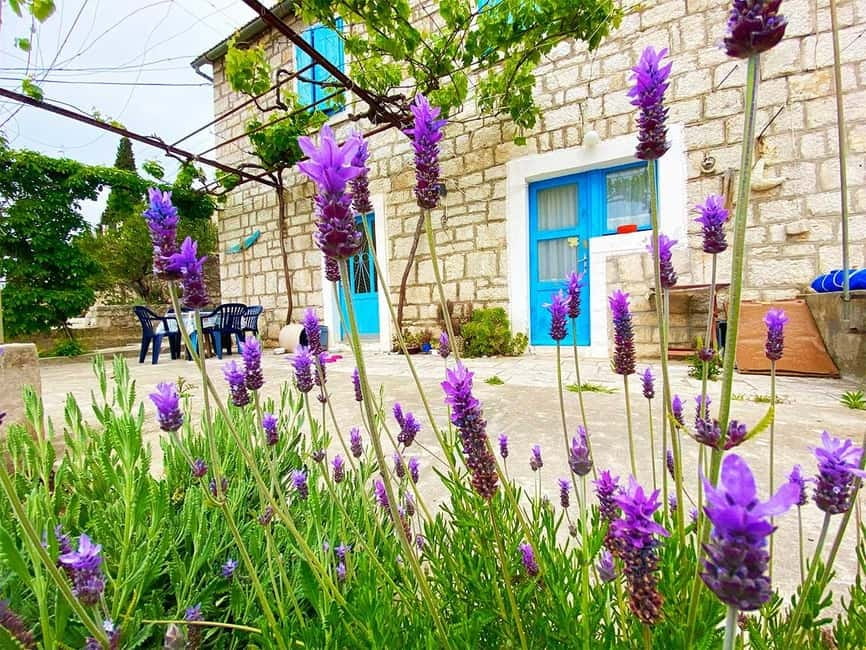 Trogir: Blue Lagoon, Maslinica, and Solinska Bay Boat Tour - The Ride Back to Trogir
