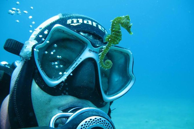 Try Scuba Diving in Split - Learning the basics before you enter