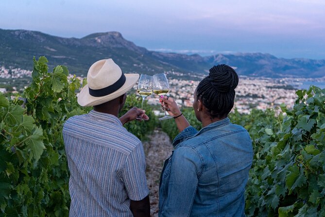 Vineyard Experience: Wine Tasting near Split - Key points to know before booking