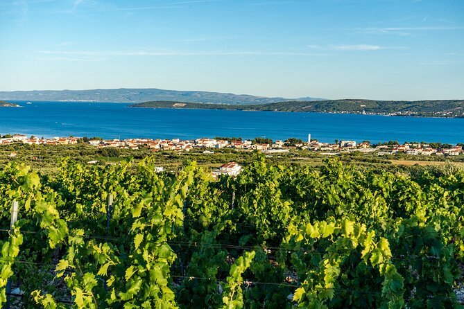 Vineyard Experience: Wine Tasting near Split - The drive through Kaštela